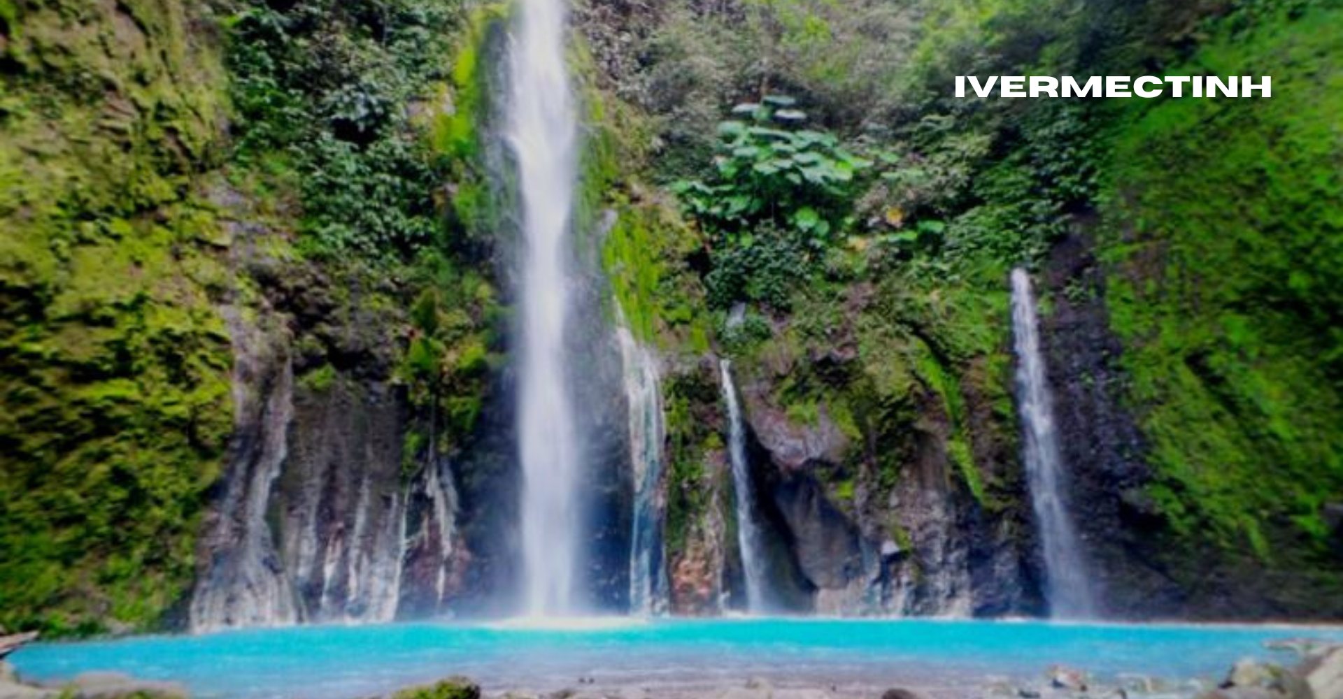 Tempat Wisata Bogor, Petualangan Rahasia Di Kota Hujan