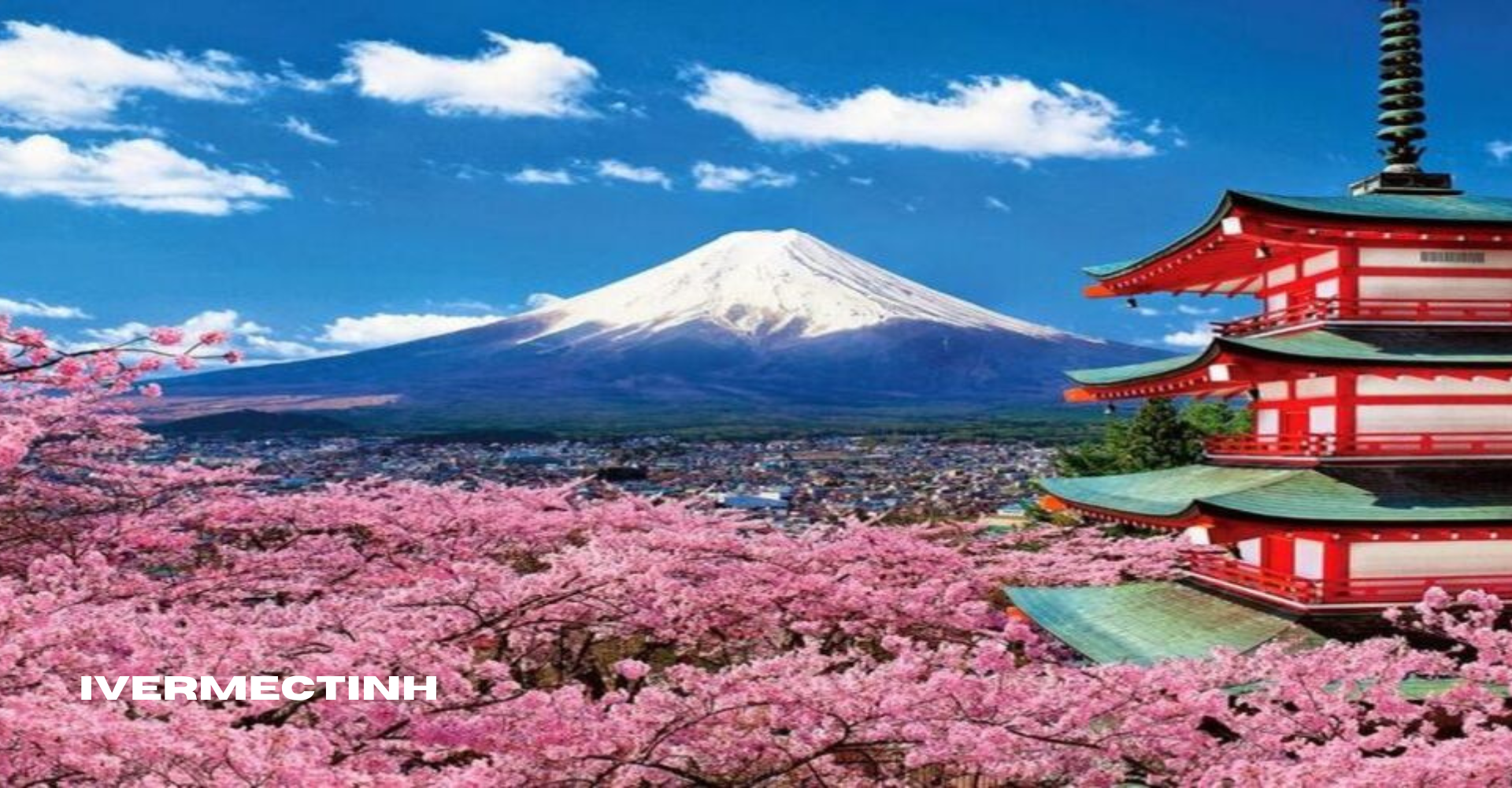 Gunung Fuji: Petualangan di Puncak Tertinggi Jepang