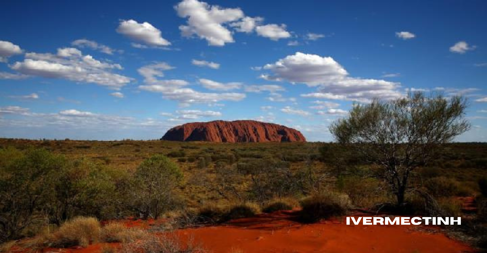 Tempat Wisata di Australia yang Cocok untuk Pecinta Alam dan Petualangan