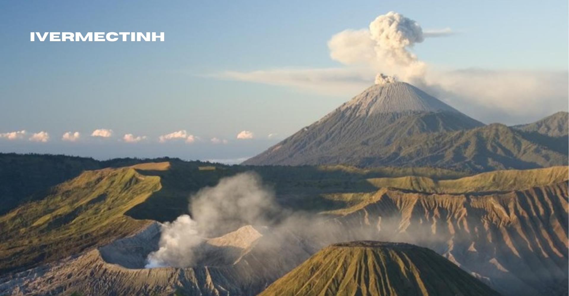 Ekosistem Unik Gunung Semeru Flora, Fauna, dan Lanskapnya