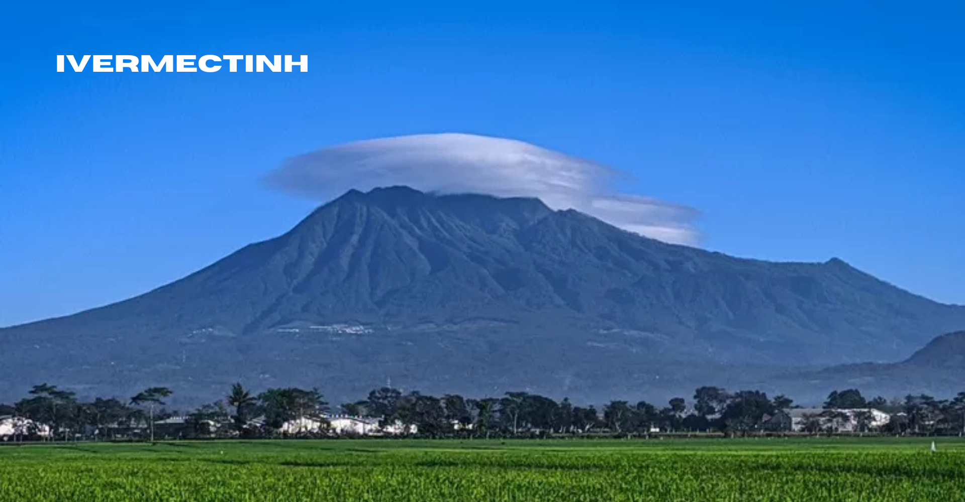 Gunung Kawi Tempat Bertemunya Alam, Sejarah, dan Cerita Mistis