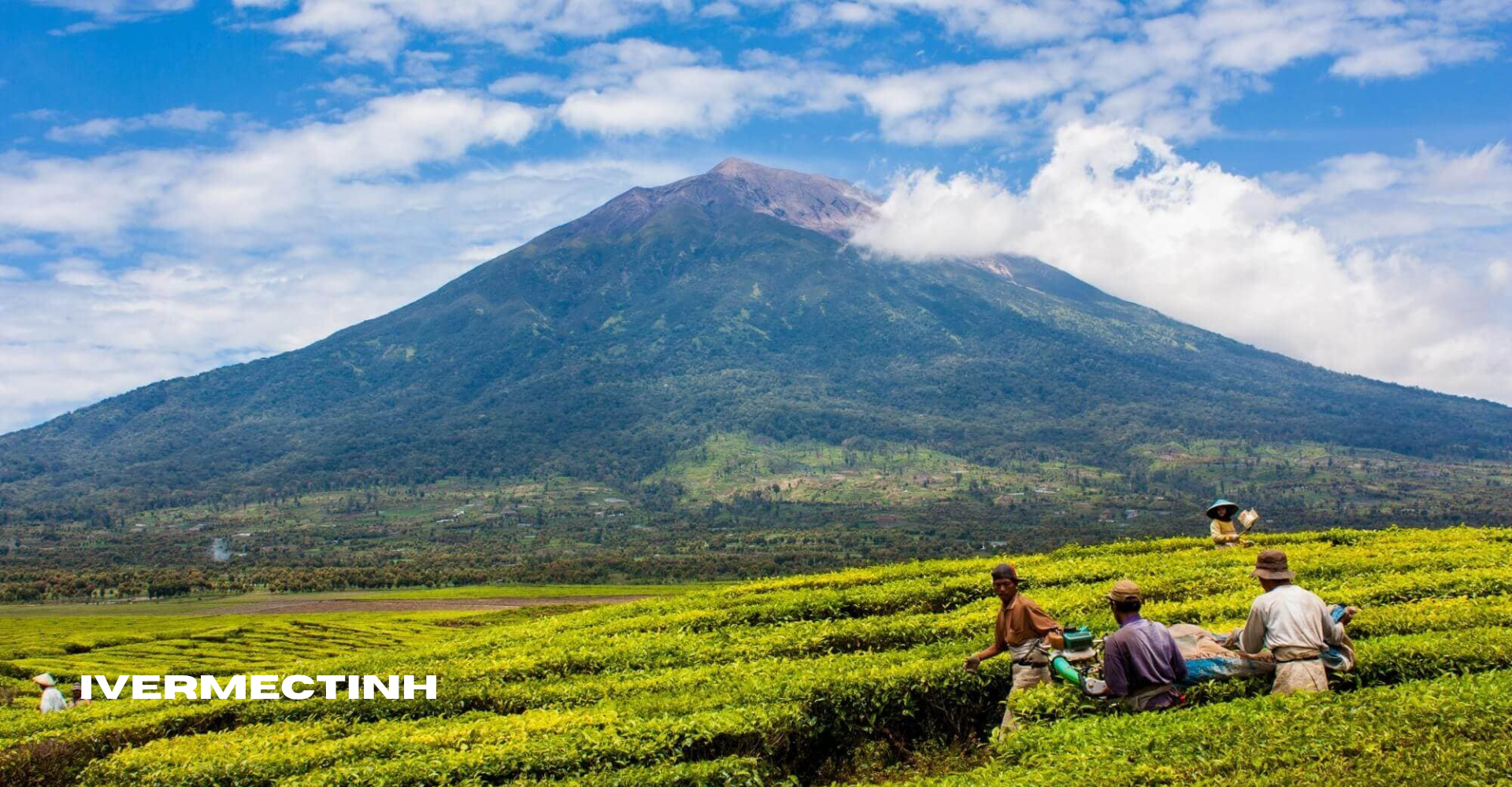 Gunung Kerinci: Puncak Tertinggi di Sumatera yang Memikat Pendaki