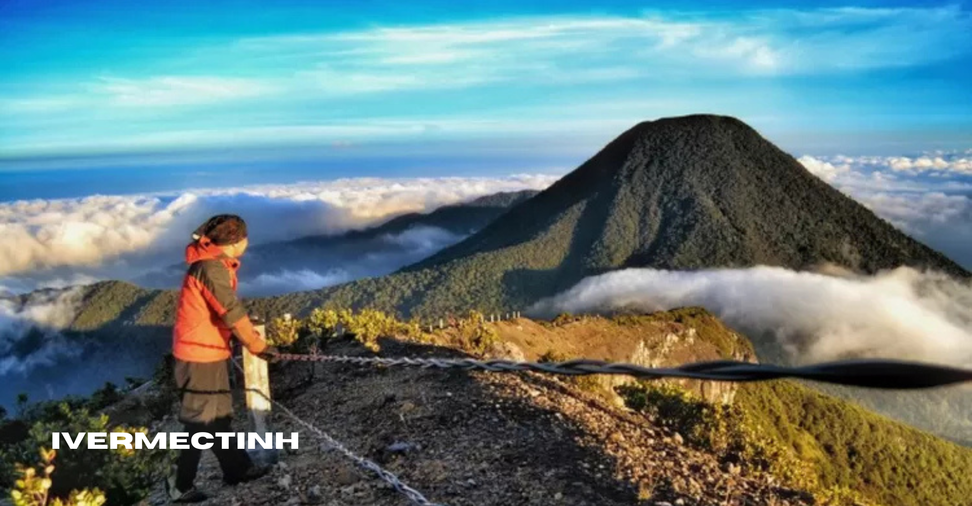 Misteri dan Keindahan Gunung Gede Wisata Alam yang Penuh Cerita