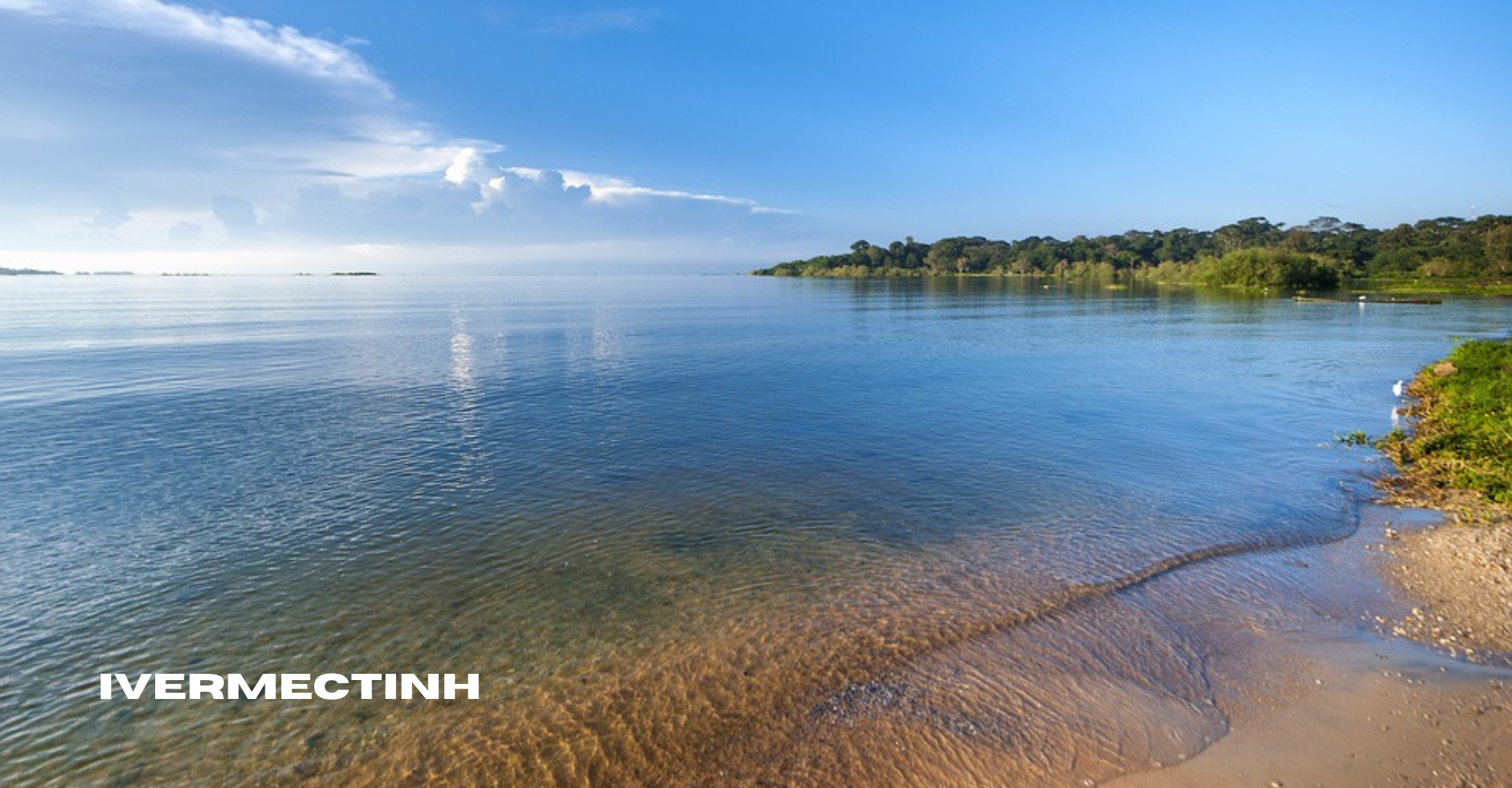 Danau Victoria Keindahan Alam yang Membentang di Tiga Negara