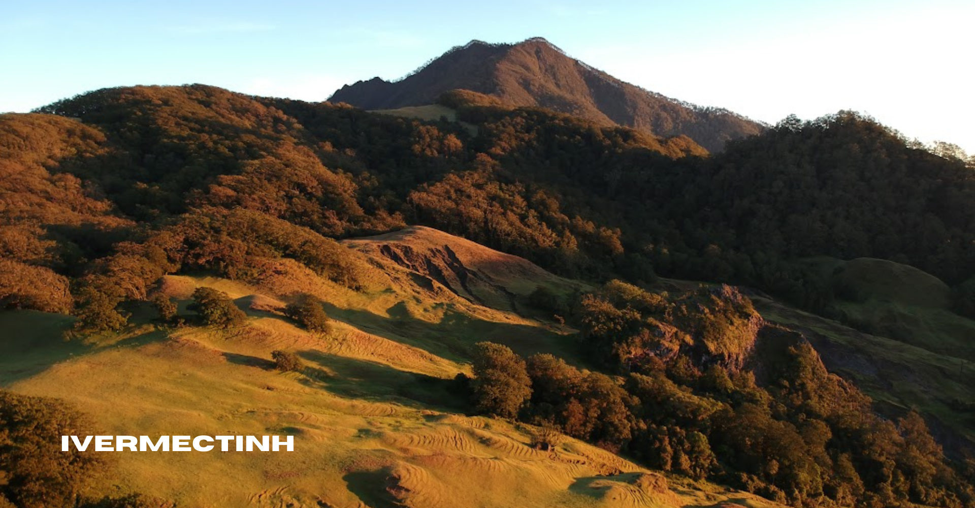 Dari Puncak Gunung Mutis Melihat Keindahan Alam Nusa Tenggara Timur dari Ketinggian