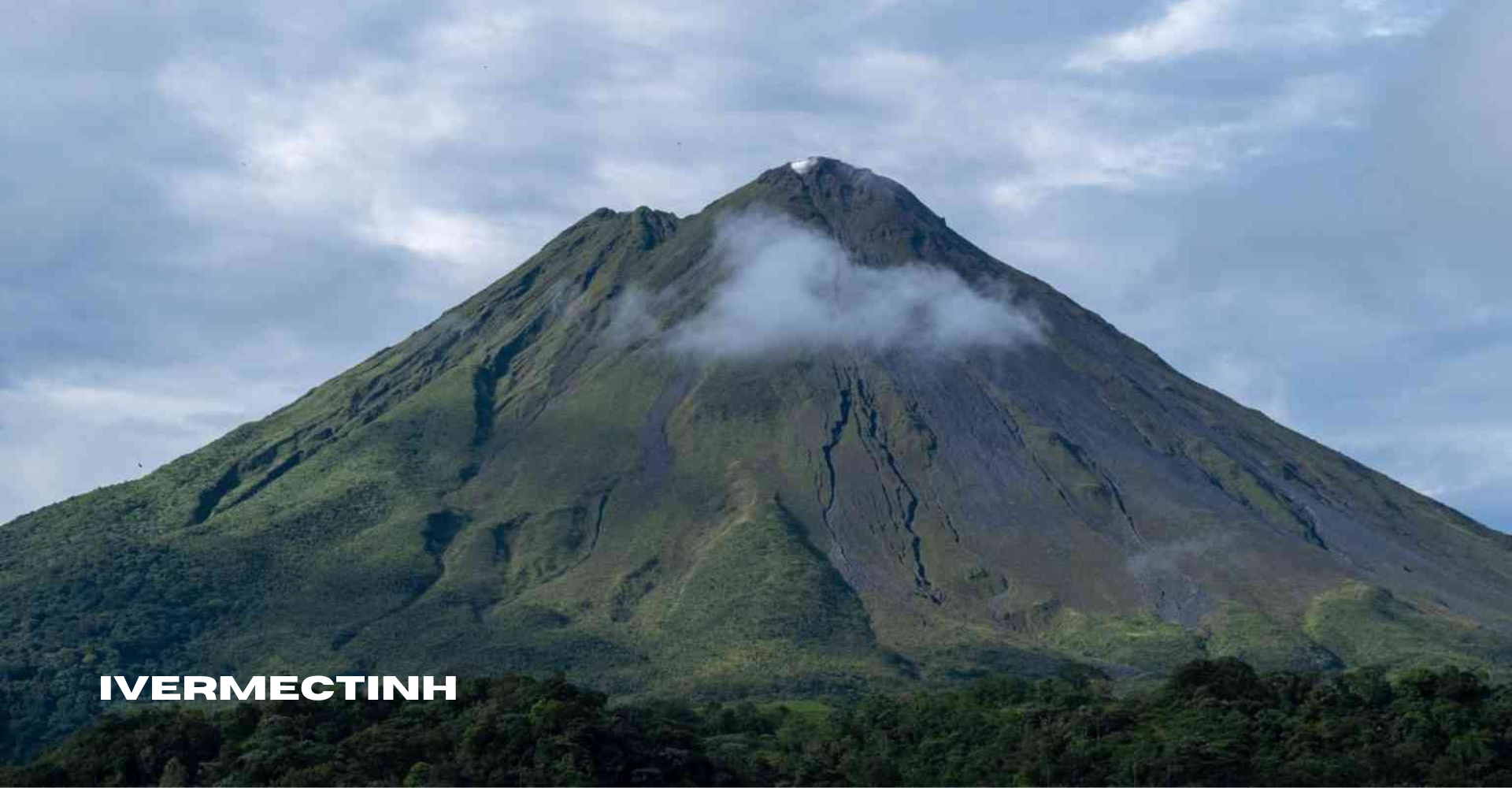 Gunung Leuser: Tempat Terakhir Harimau Sumatera dan Orangutan Hidup Bebas