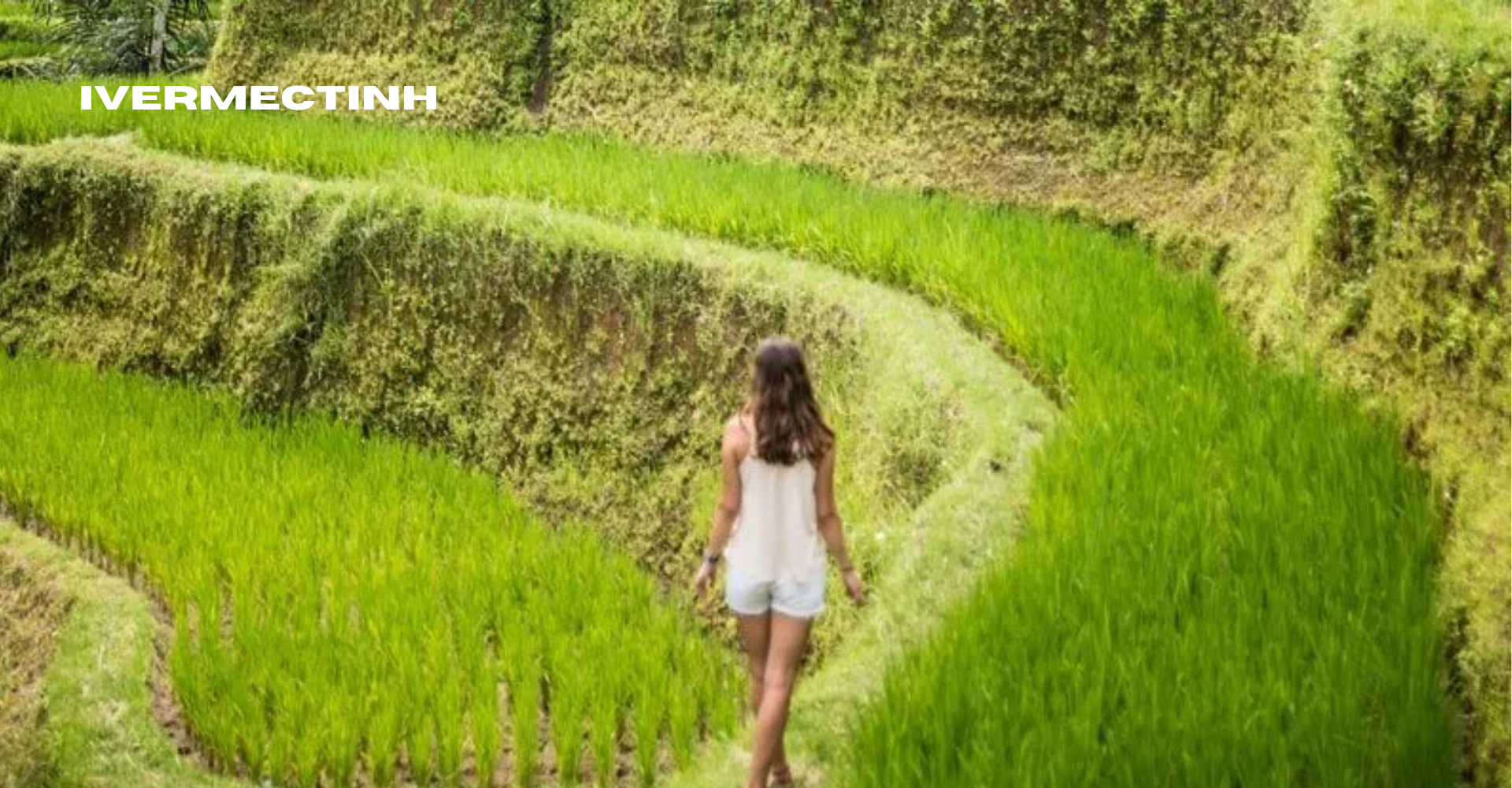 Layak Berkunjung! 7 Destinasi Wisata Sawah Hijau di Indonesia dengan Pemandangan yang Indah