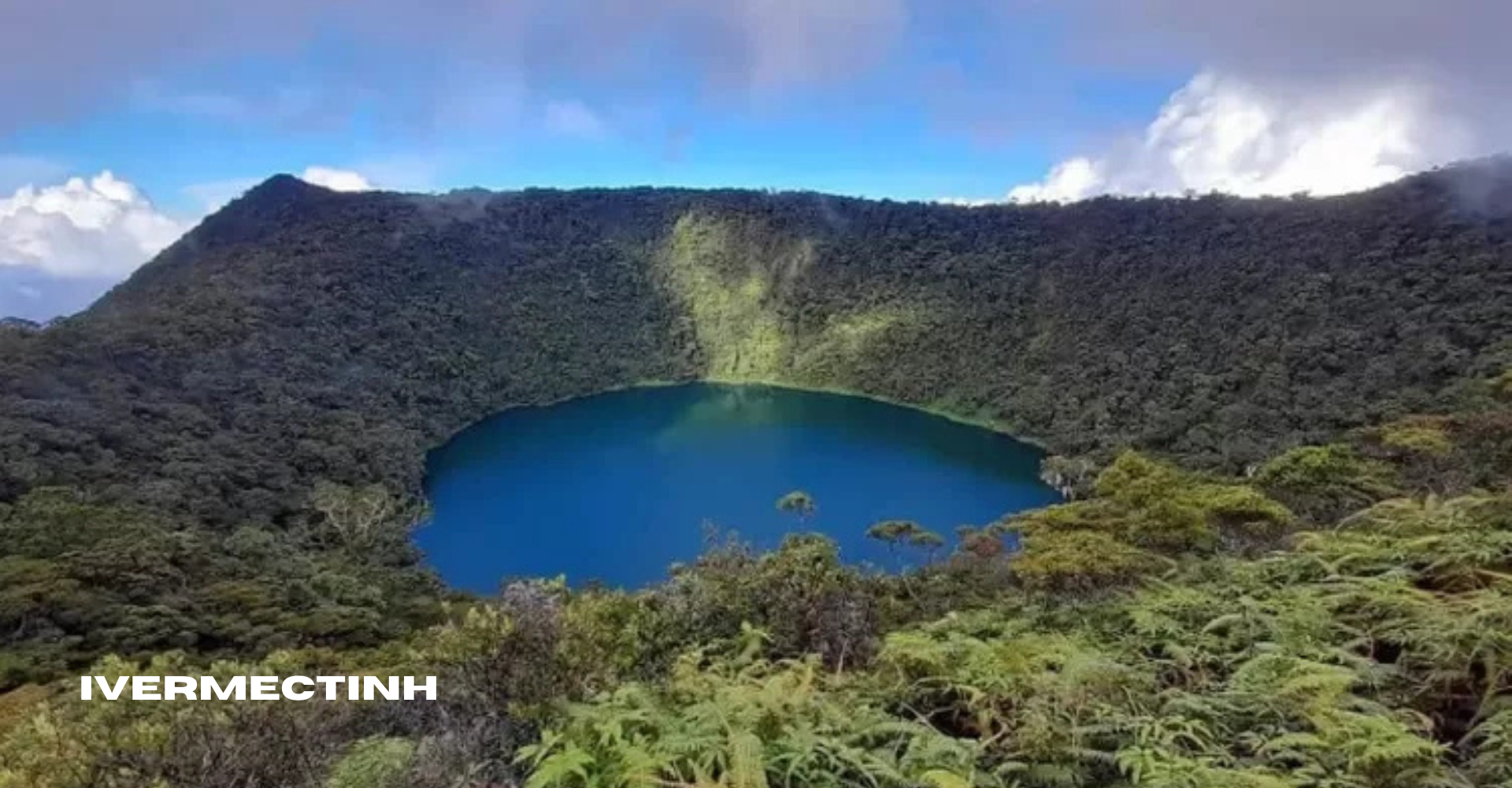 Mengenal Gunung Masurai: Permata Tersembunyi di Jambi