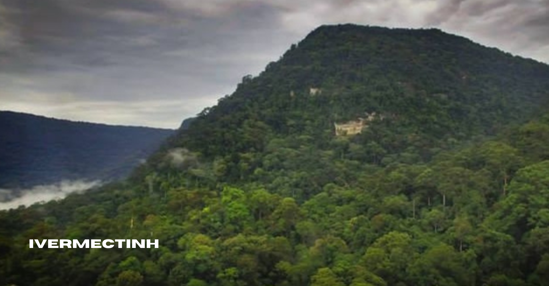 Mengenal Gunung Niut Surga Tersembunyi di Kalimantan Barat