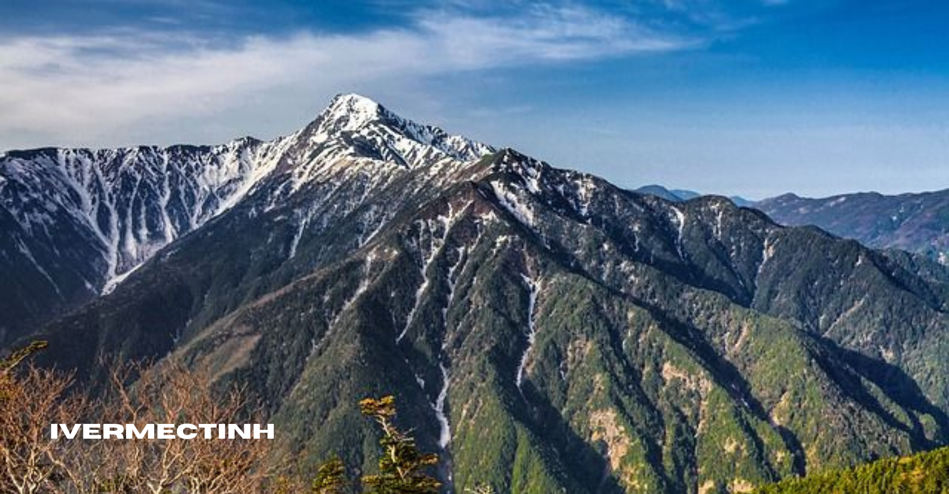 Panduan Mendaki Gunung Yari Tips, Jalur, dan Waktu Terbaik