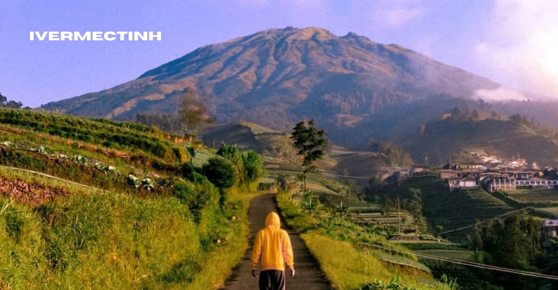 Pendakian Gunung Sumbing Menaklukkan Gunung Tertinggi di Jawa Tengah