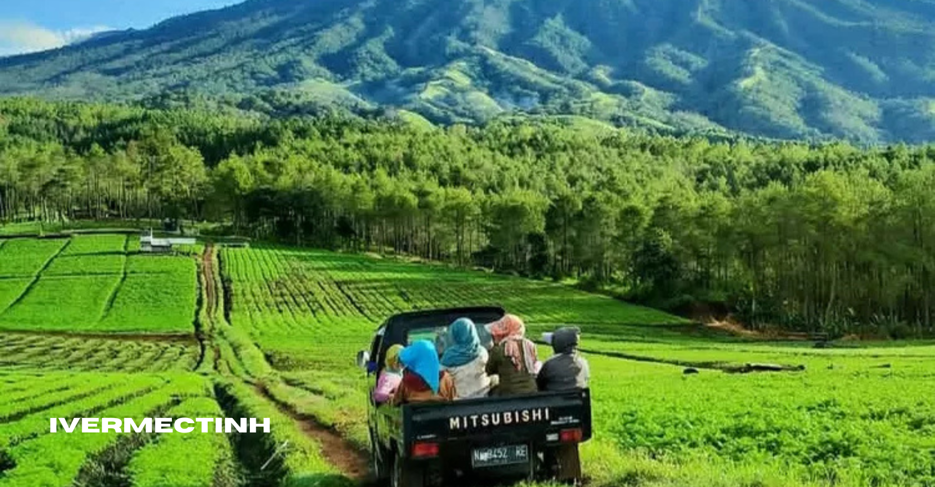 Keindahan Alam Bukit Jengkoang Tempat Tepat Untuk Liburan di Tengah Alam