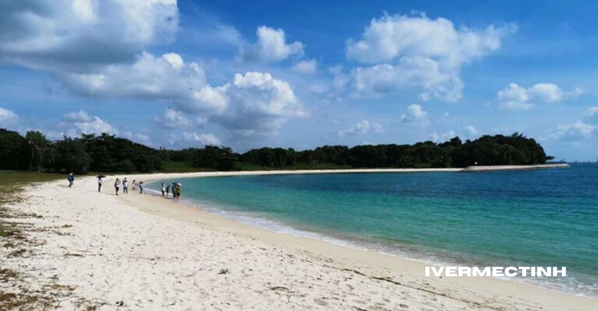 Lazarus Island Surga Tersembunyi di Singapura