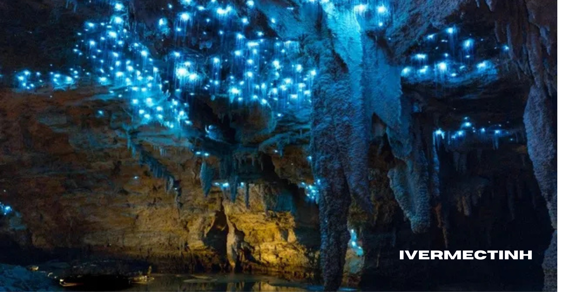 Petualangan di Gua Waitomo Jelajahi Keindahan Cahaya Glowing di Dalam Gua