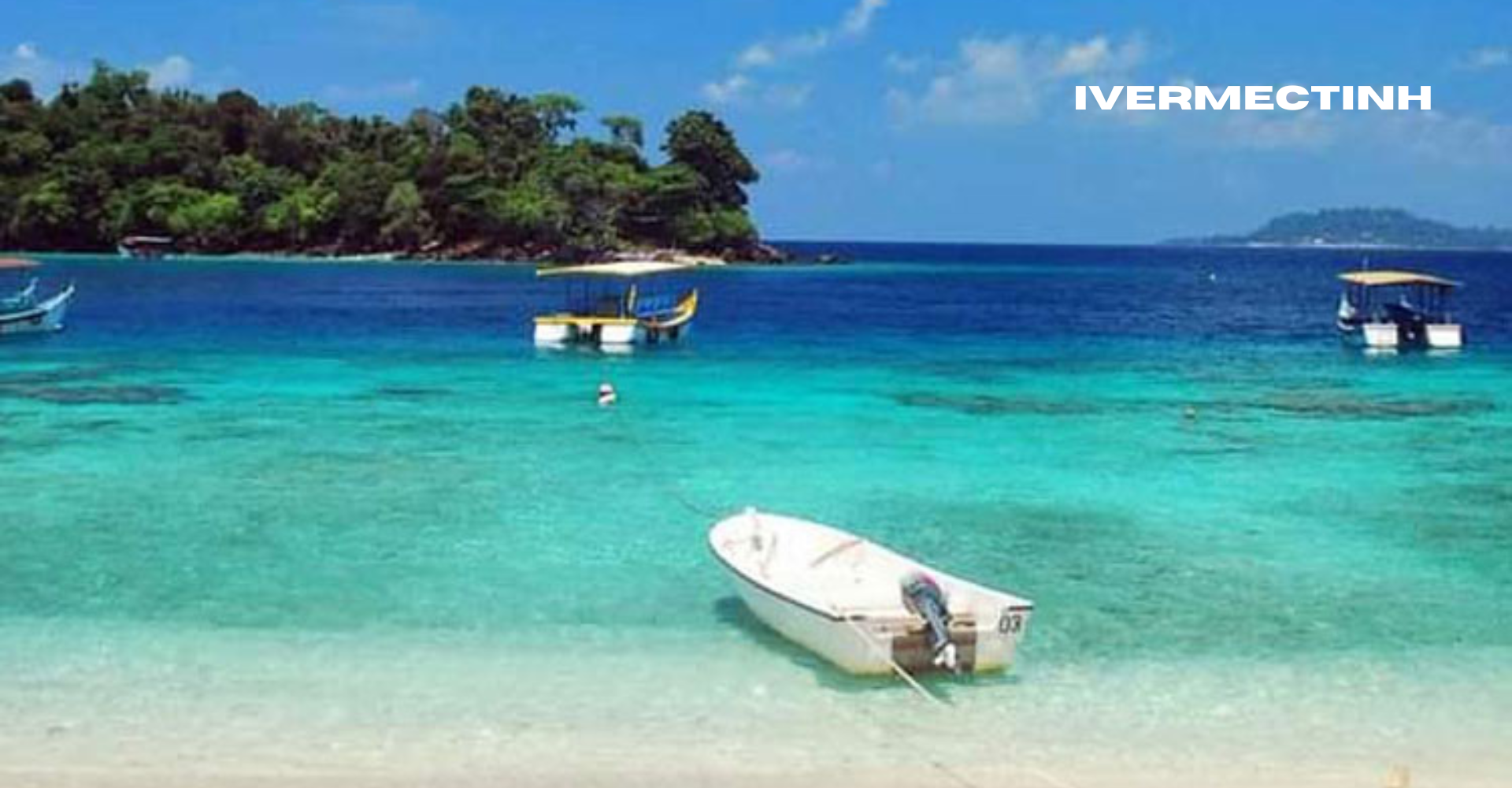 Pulau Weh Liburan Seru di Alam Tropis yang Penuh Keindahan