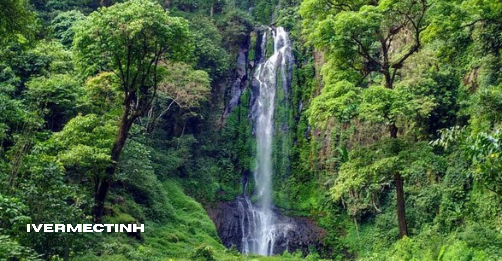 Curug Lawe: Gemericik Tenang dari Hutan Gunung Ungaran